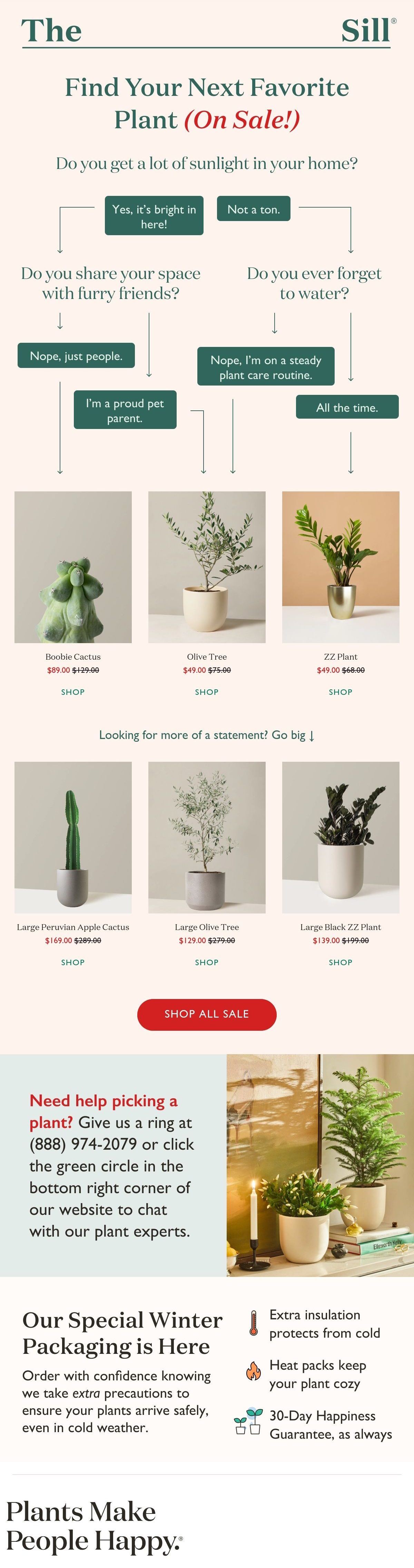 The Sill plants email