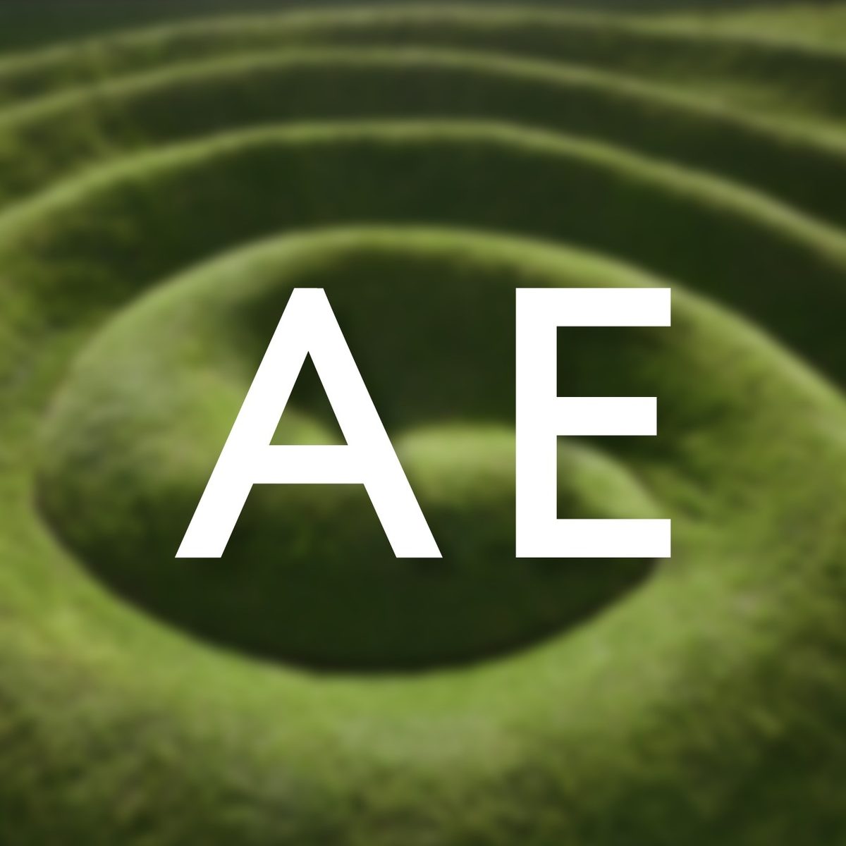 American Eagle logo