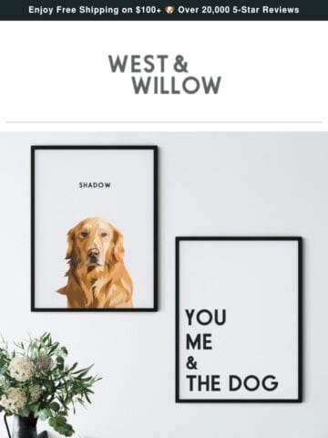 No Thumbnail Set