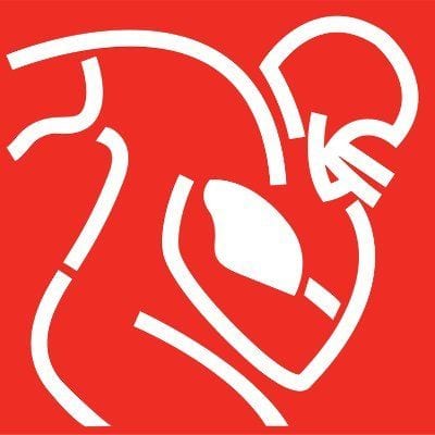 NFL logo