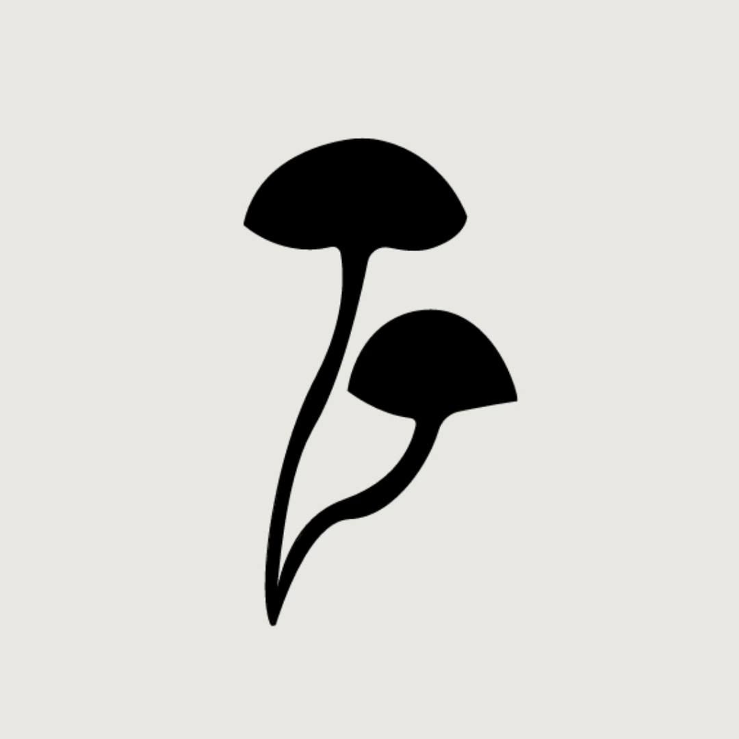 Auri Nutrition logo