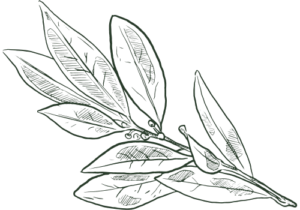 MoonBrew logo