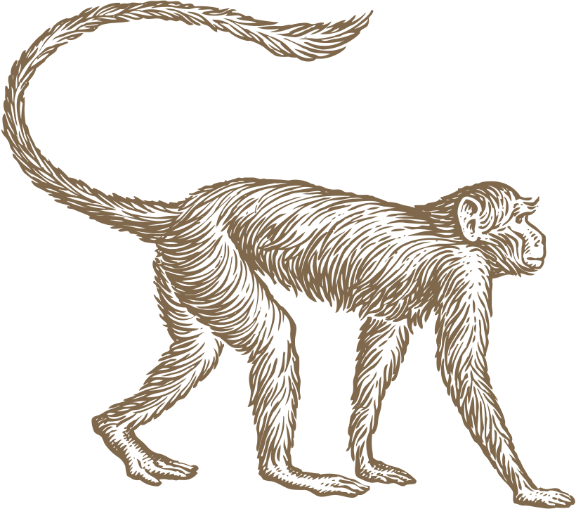 Mowgli logo