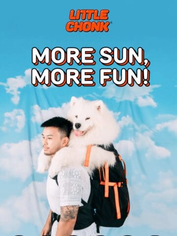 No Thumbnail Set