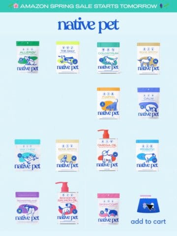 No Thumbnail Set
