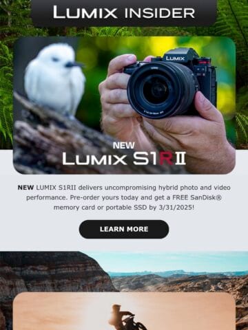 No Thumbnail Set