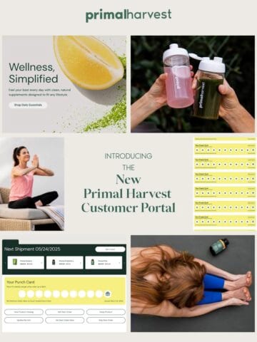 No Thumbnail Set