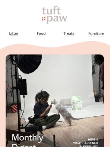 No Thumbnail Set