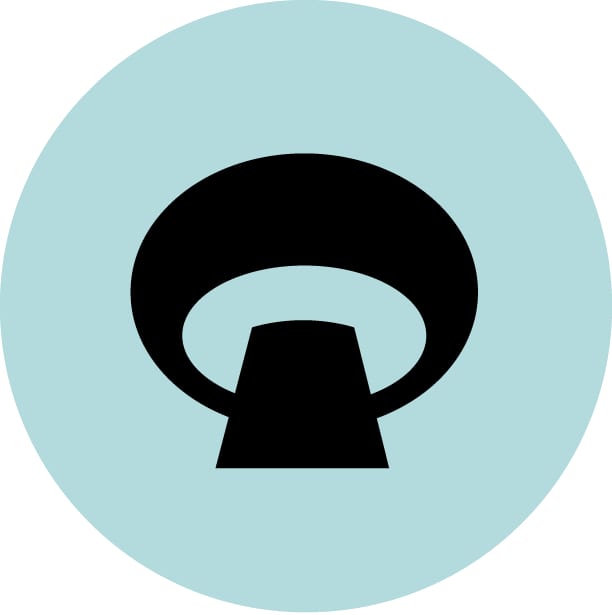 First Person logo