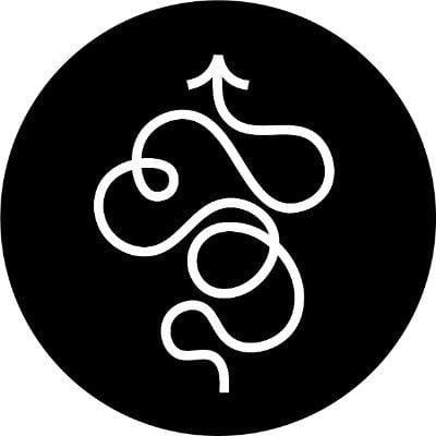 BABOON TO THE MOON logo