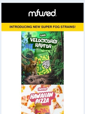 No Thumbnail Set