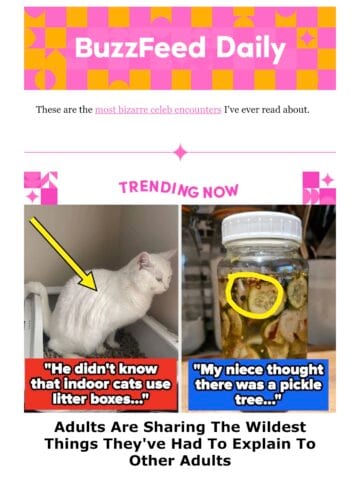 No Thumbnail Set