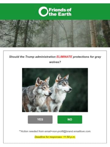 No Thumbnail Set