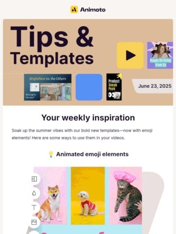 No Thumbnail Set