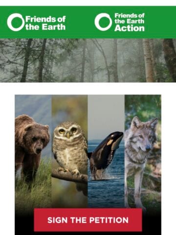 No Thumbnail Set