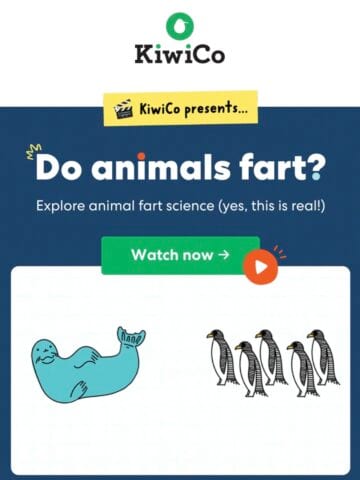 No Thumbnail Set