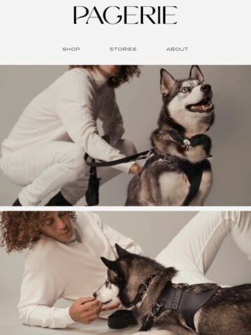 No Thumbnail Set