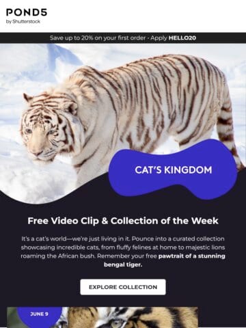 No Thumbnail Set