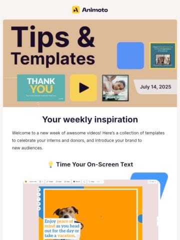 No Thumbnail Set