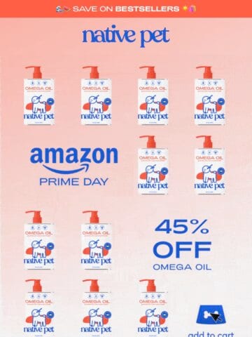 No Thumbnail Set
