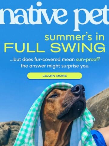 No Thumbnail Set