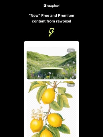 No Thumbnail Set