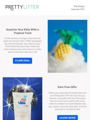 No Thumbnail Set