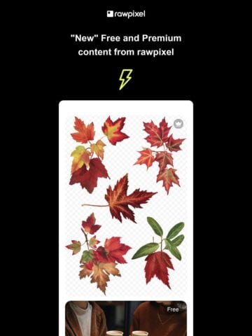 No Thumbnail Set