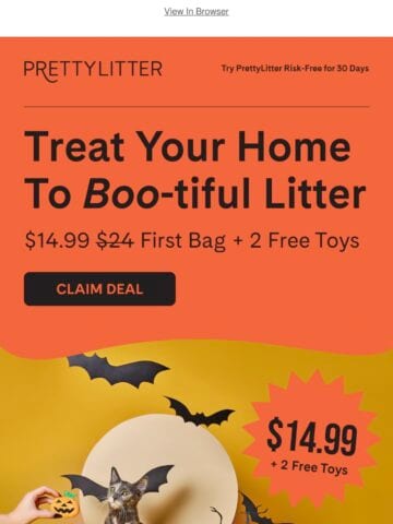 No Thumbnail Set