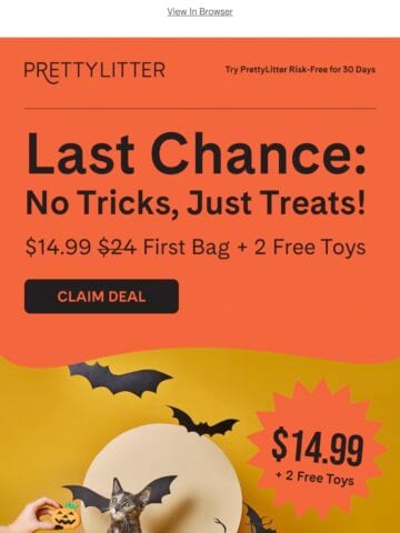 No Thumbnail Set