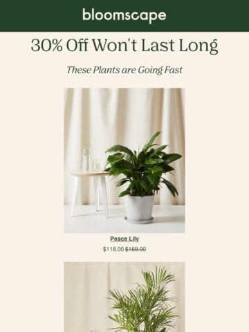 No Thumbnail Set
