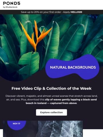 No Thumbnail Set