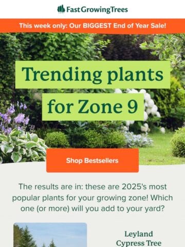 No Thumbnail Set
