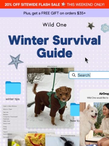 No Thumbnail Set