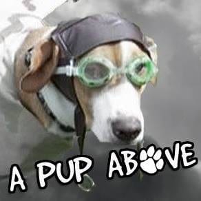 A Pup Above ? logo