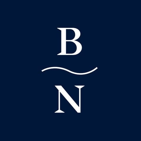 Blue Nile logo