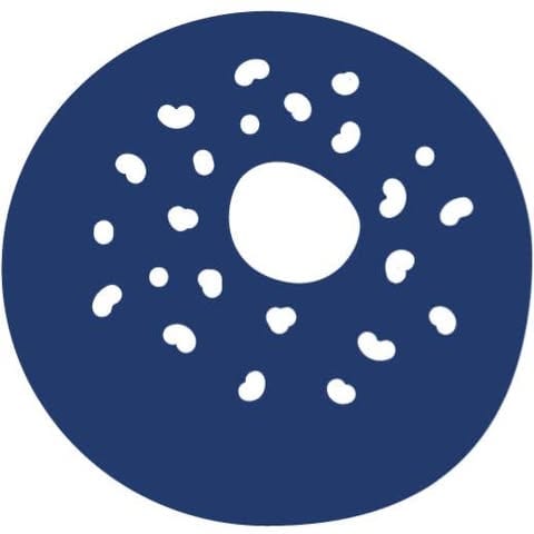 Boichik Bagels logo