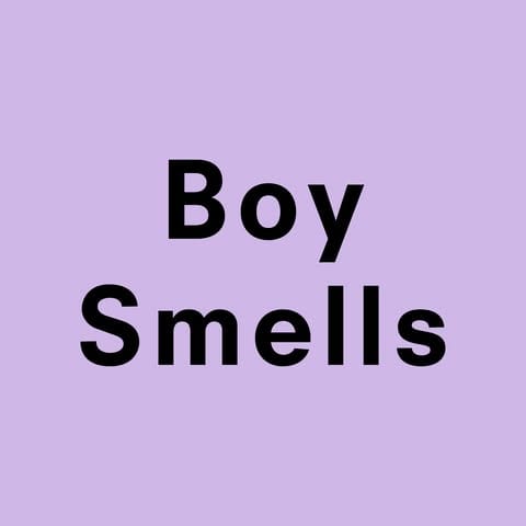 BOY SMELLS logo