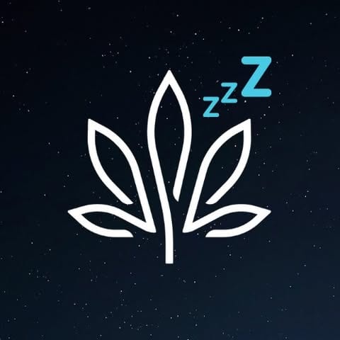 Camino by Kiva logo