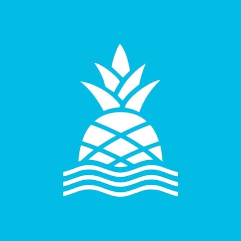 Chubbies logo