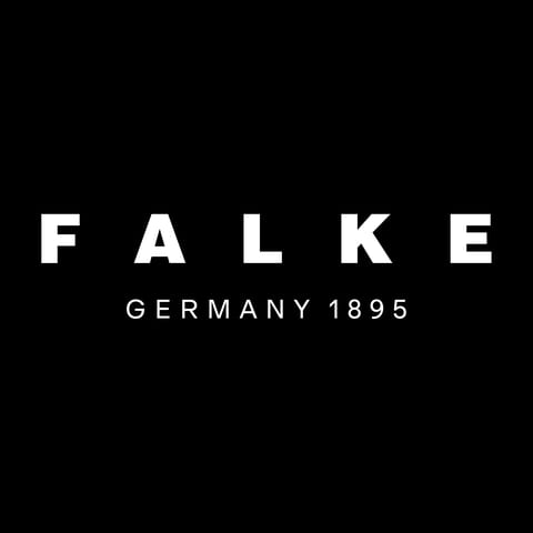 FALKE News logo