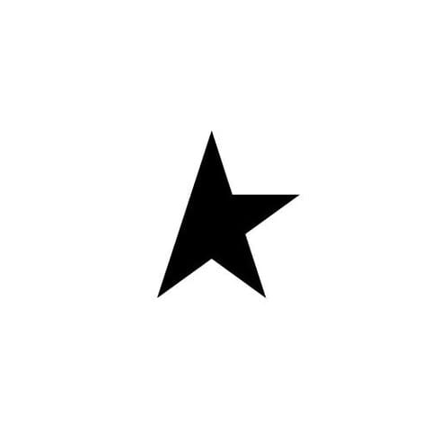 Golden Goose logo