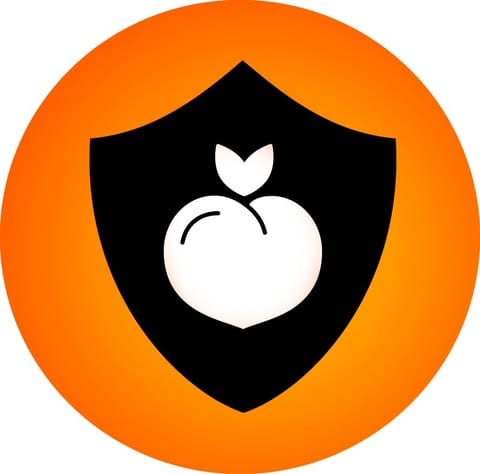 Little Chonk logo