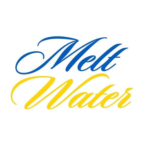 Data Digest at Meltwater logo
