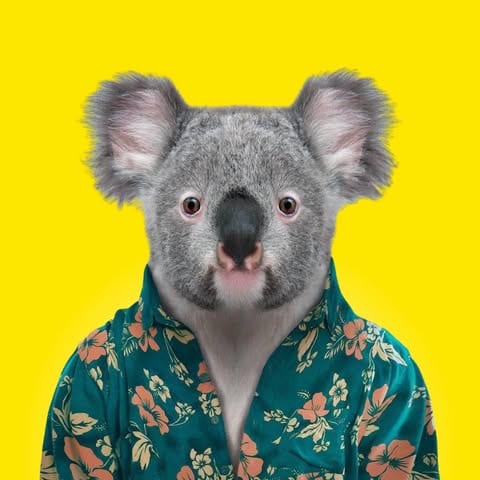 My Queensland