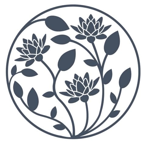 RANAVAT logo