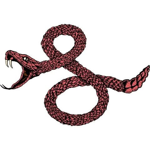 Soul logo