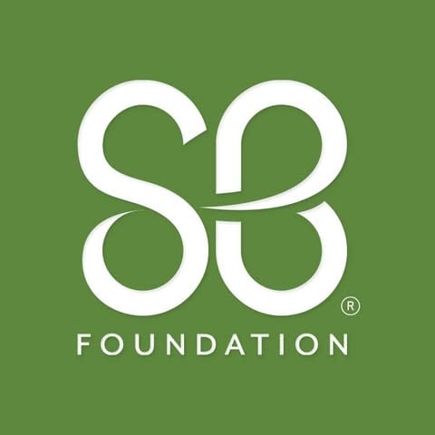St. Baldrick's Foundation logo