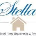 Stellar Development Foundation logo
