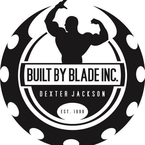 TEAM BLADE logo